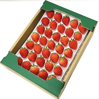 Amazon.co.jp: 国産いちご 【Sサイズ (35〜36粒)〔欠品の場合M